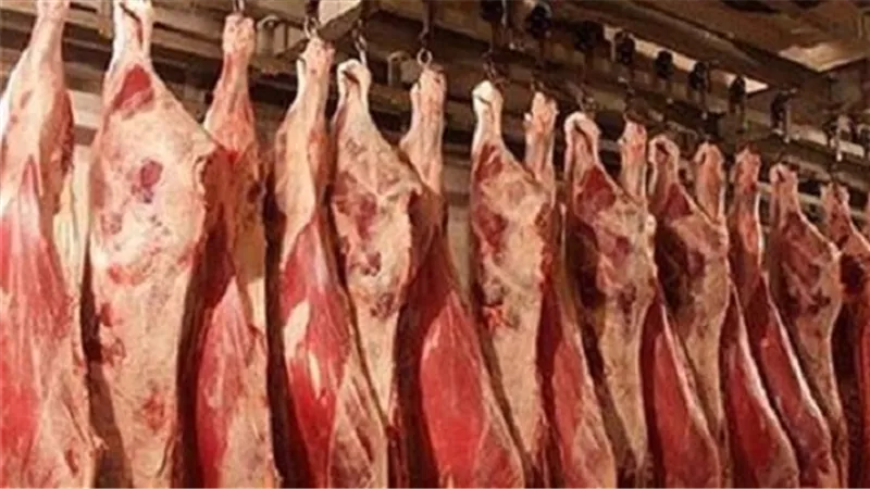 رئيس شعبة القصابين: انخفاض أسعار اللحوم 20%.. ودعم حقيقي لصغار المربين