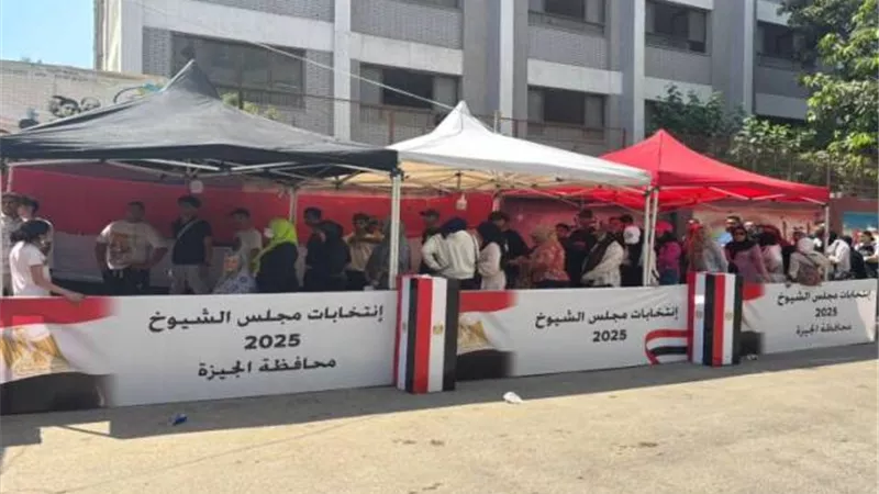 إقبال ملحوظ من السيدات على انتخابات الشيوخ بلجان الدقي