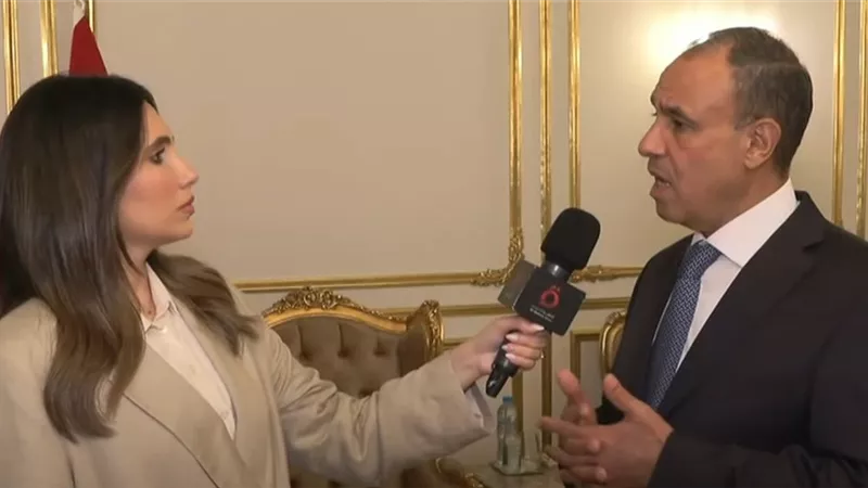 وزير الخارجية: الدولة تضع مصالح المصريين بالخارج على رأس أولوياتها