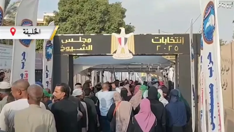 لجان الخليفة 