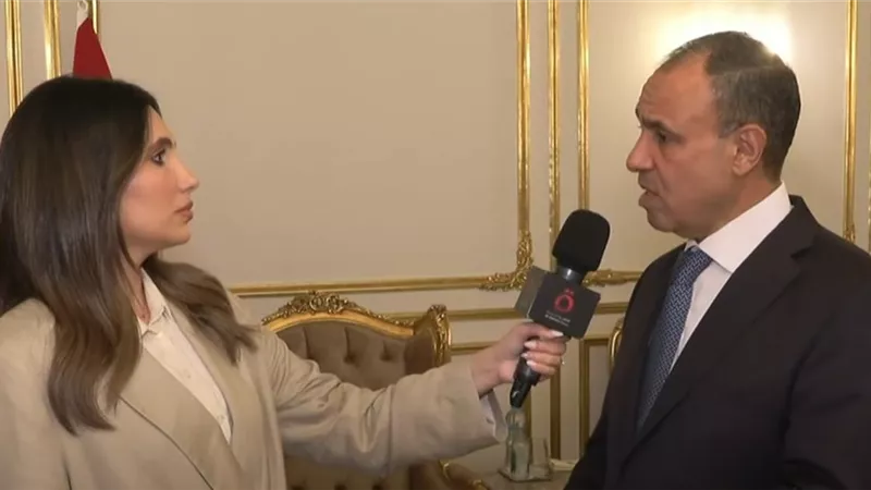 وزير الخارجية: الرئيس السيسي يقود سياسة نشطة.. ونواصل الجهود لدعم القضية الفلسطينية