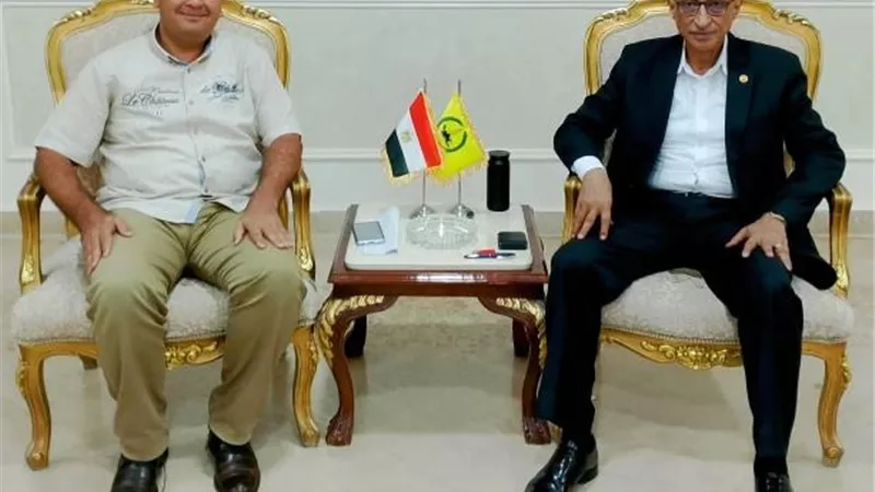 محافظ شمال سيناء يستقبل رئيس قطاع شبكات توزيع الكهرباء