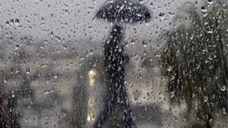 الأرصاد الجوية: أمطار خفيفة على مناطق متفرقة من القاهرة الكبرى