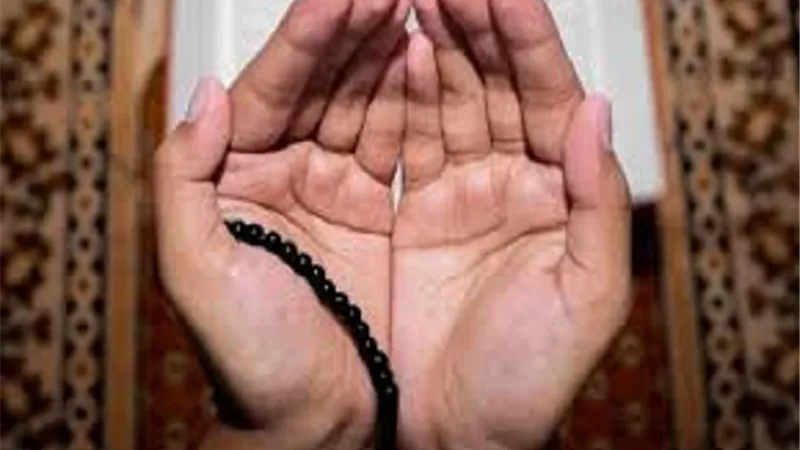 ركعتان يقضي الله بهما حاجتك