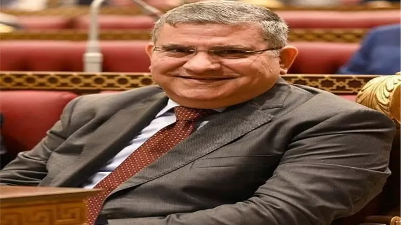 رئيس لجنة الانتخابات بدائرة محافظة الفيوم يعلن نتيجة الاقتراع