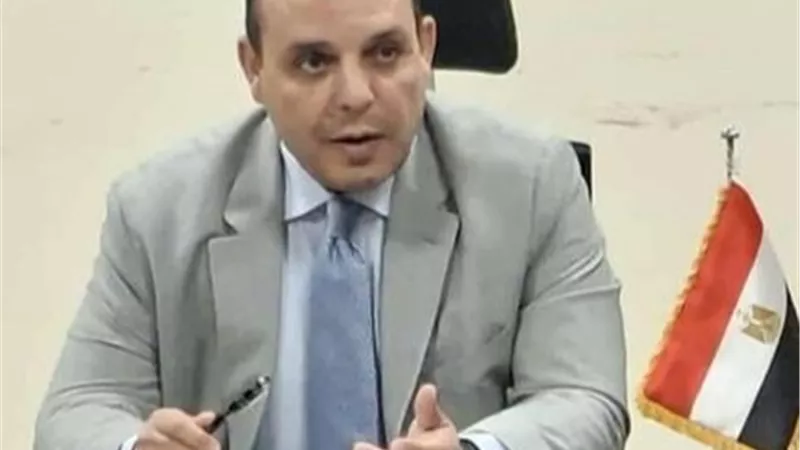رئيس التمثيل التجاري: خطة لتعزيز التعاون الاقتصادي بين مصر واليابان