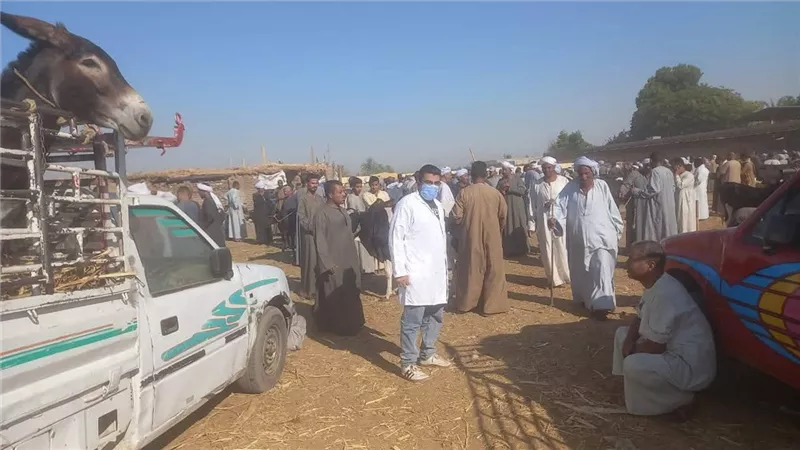 تحصين 32 ألف حيوان وضبط 686 كيلو دواجن فاسدة بالأقصر