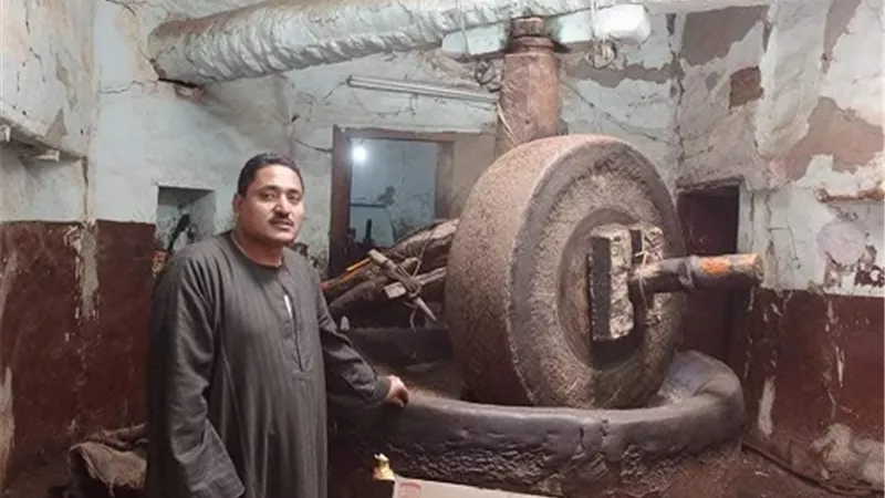 معمرة يونس.. 257 عامًا من الزيوت المباركة في قلب قوص