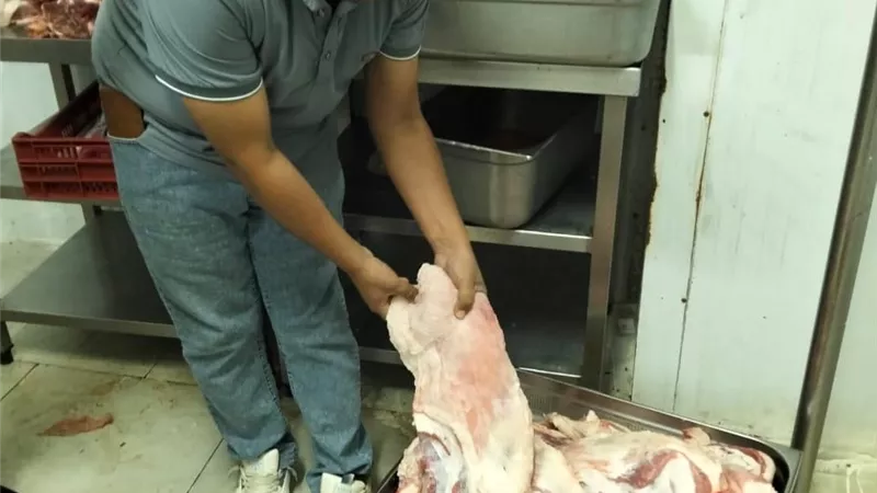 ضبط 12 طن اجزاء دجاج وجمبري غير مطابقة للمواصفات بطلخا