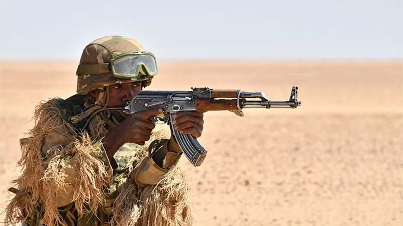 وزارة الدفاع الجزائرية تعلن تصفية 4 إرهابيين على الحدود الجنوبية الشرقية وتكشف هوياتهم