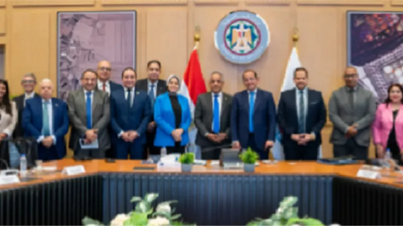 وزير المالية: دعم القطاع الخاص المصري للتوسع في أفريقيا