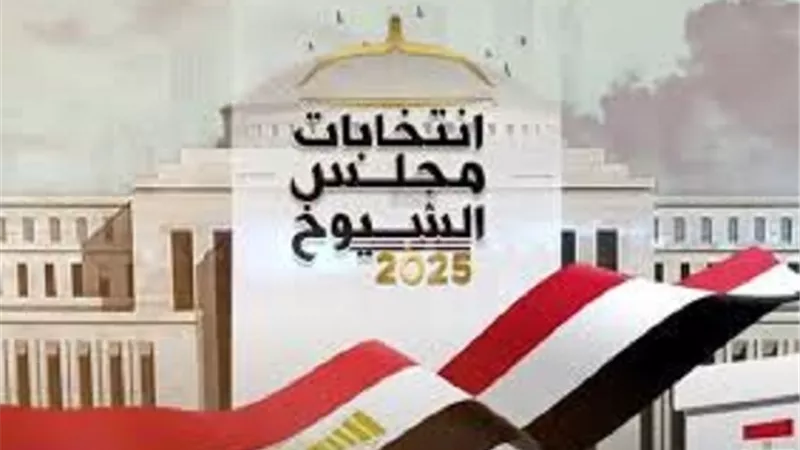 الهيئة الوطنية تعلن نتيجة انتخابات مجلس الشيوخ 2025 غدًا