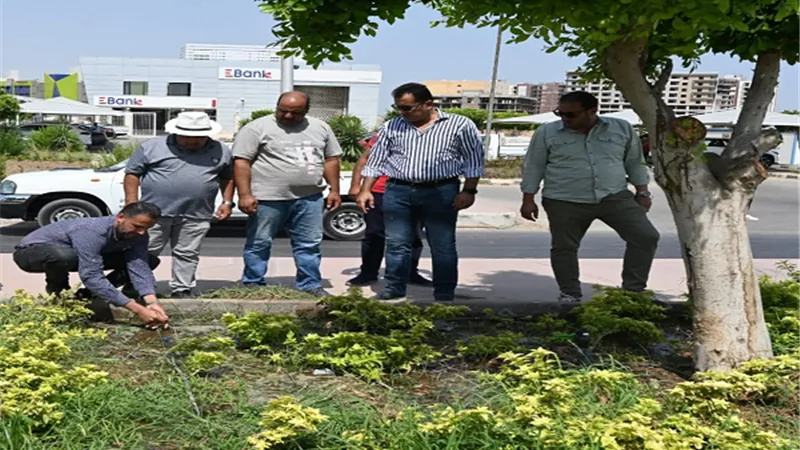 ضبط أعمال الزراعة وترشيد المياه بمحور علي بن أبي طالب بالعاشر من رمضان
