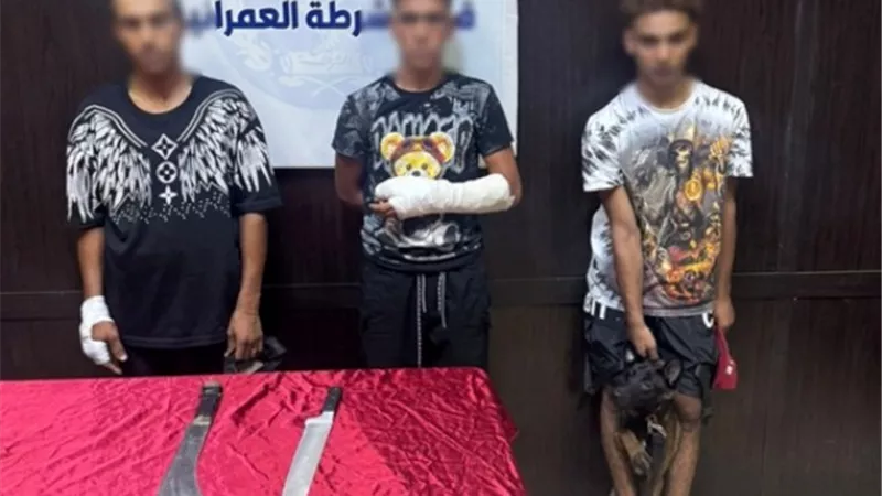 ضبط طرفي مشاجرة بالأسلحة البيضاء واستخدام كلب في الجيزة