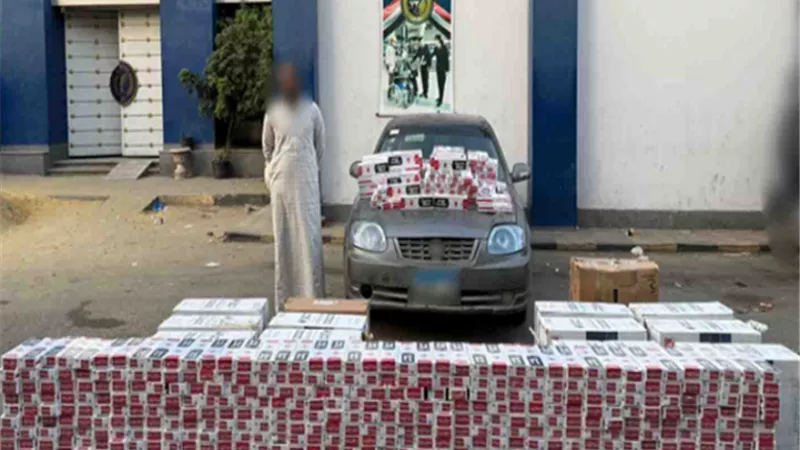 ضبط 62 ألف عبوة سجائر مهربة ومجهولة المصدر بالإسكندرية والبحيرة