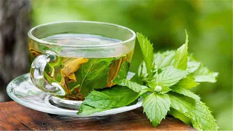 النعناع.. سر طبيعي لمحاربة الانتفاخ ودعم فقدان الوزن