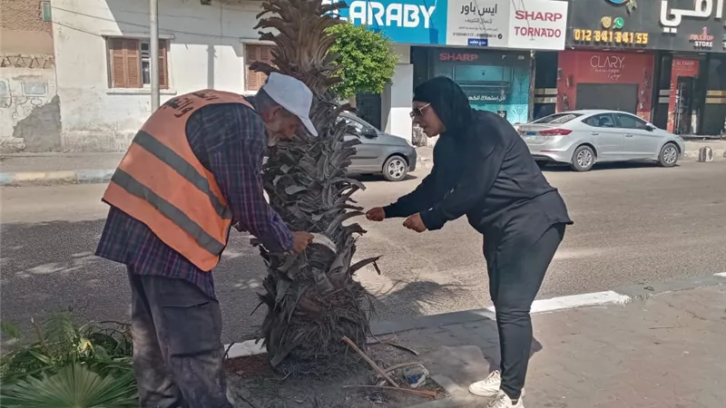 صيانة دورية للمسطحات الخضراء بمحافظة الإسماعيلية