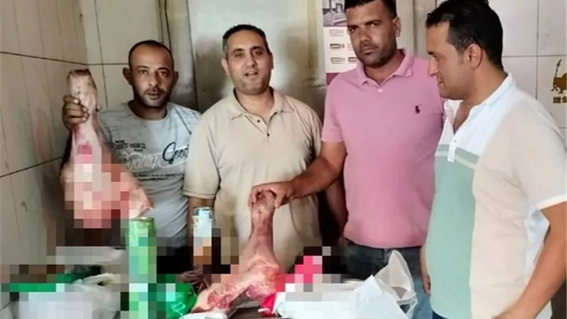عازر: حملات تموينية مكثفة بالبحيرة لمكافحة الغش التجاري