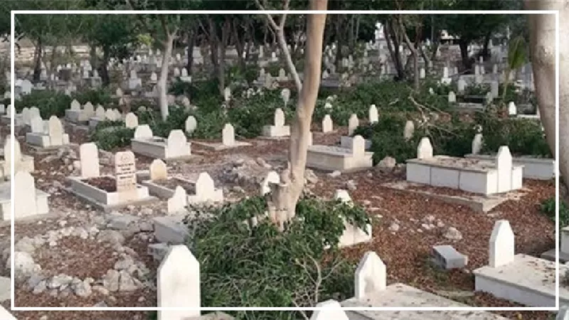 متى تكون زراعة الأشجار بجوار القبور جائزًا؟