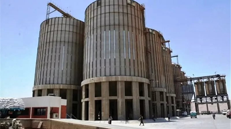 سوهاج تنهي موسم توريد القمح بـ186 ألف طن بزيادة 20% عن المستهدف