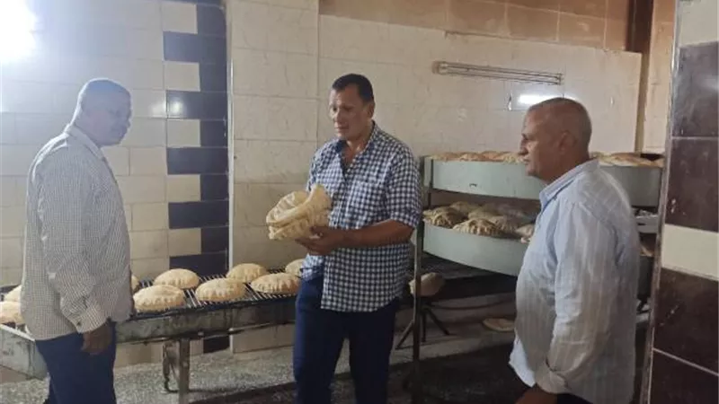 حملات تموينية مكثفة بكفرالشيخ