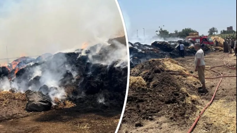 السيطرة على حريق بمزرعة مواشي بكفر العمار في طوخ دون إصابات