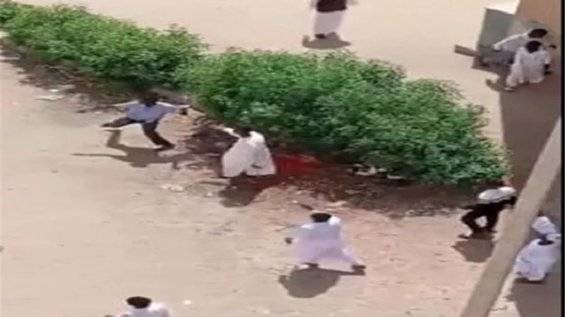 بعد تداول الفيديو .. ضبط طرفى مشاجرة بالجيزة