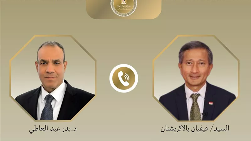 وزير الخارجية يؤكد ضرورة التحرك العاجل لمعالجة الأزمة الإنسانية الخطيرة في غزة