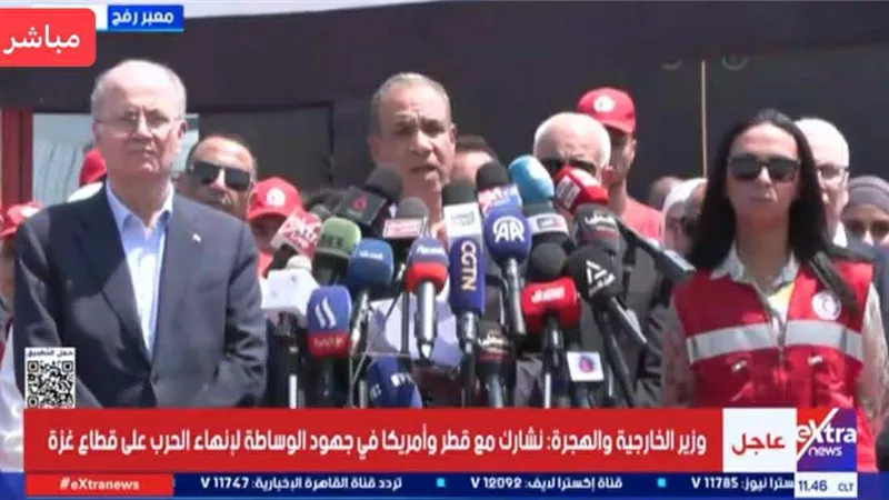 عبد العاطى : على المجتمع الدولى مواصلة الضغط على اسرائيل لايقاف الحرب على غزة