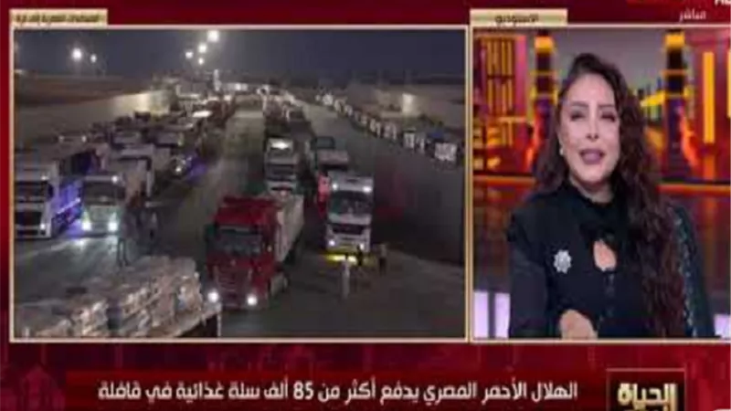 الهلال الأحمر المصري: إصرار من مصر على إنفاذ المساعدات