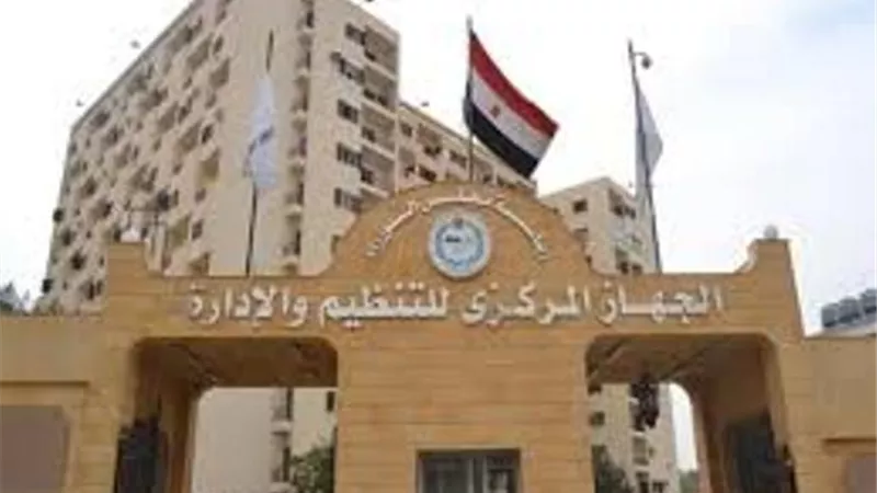 التنظيم والإدارة تطبق هيكل 