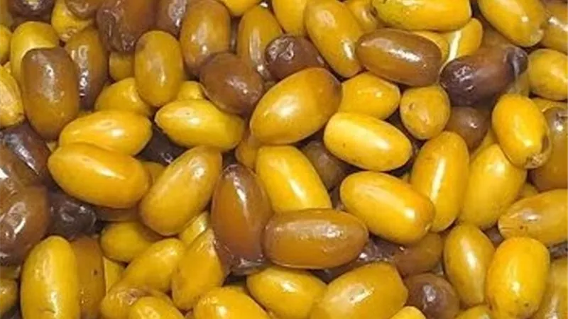 البلح الرُّطب والأمهات.. كنز غذائي وصحي على مائدة كل بيت