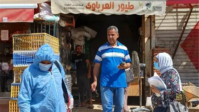 استنفار صحي وبيئي بالشروق لمطاردة بؤر البعوض والذباب.. بالفيديو