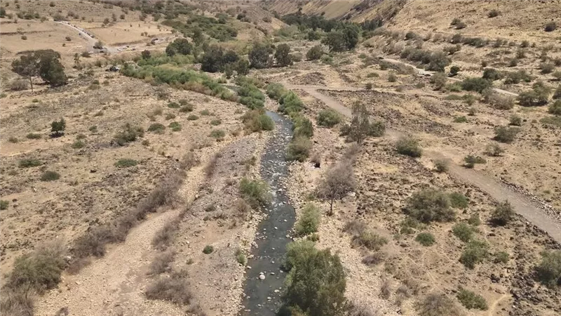 جفاف عشرات الآلاف من الأفدنة في إسرائيل وخسائر الموسم 40 مليون دولار