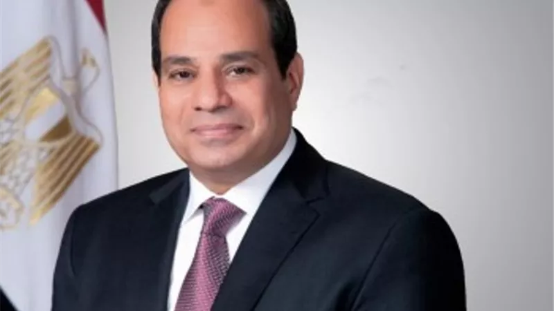 الرئيس السيسي يعود إلى أرض الوطن بعد زيارة السعودية