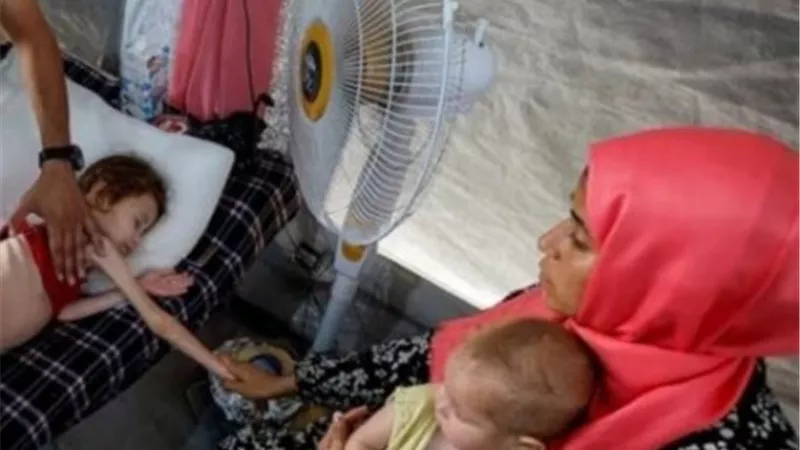 الاتحاد الأوروبي: الأطفال يموتون جوعا | المجاعة في غزة