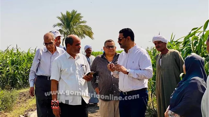 وكيل زراعة سوهاج يتفقد زراعات دوار الشمس والطماطم بكوم بدر