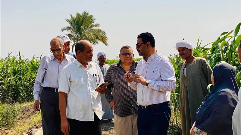 وكيل وزارةالزراعة بسوهاج يتفقد زراعات دوارالشمس والطماطم بكوم بدر