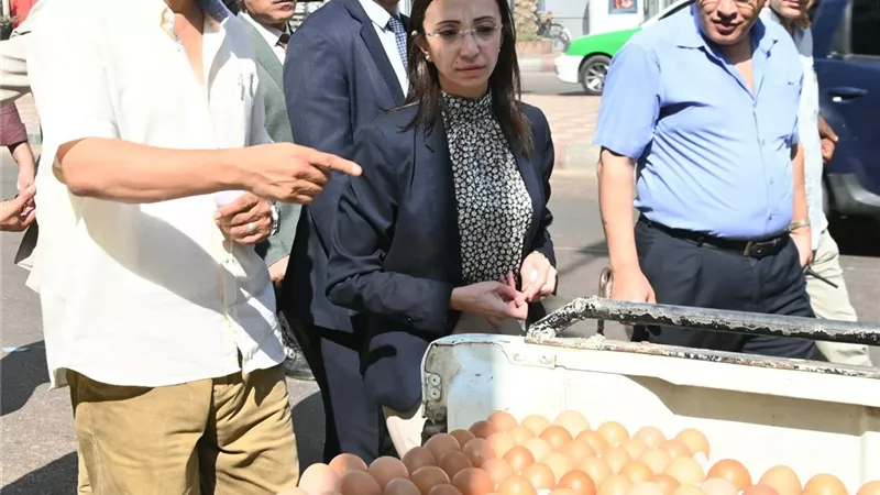 محافظ البحيرة تتفقد ١٢ سيارة محملة بـ١٠٠٠ طبق بيض