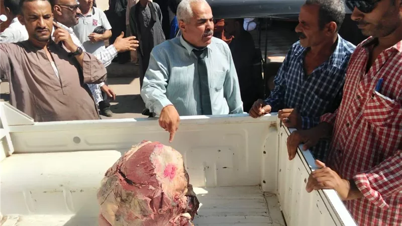 المنيا..تحرير 113 محضرًا متنوعًا وإعدام أغذية فاسدة