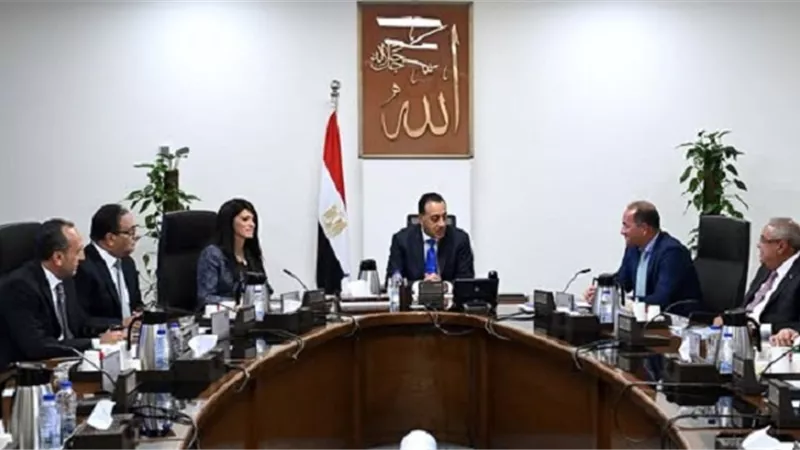 رئيس الوزراء يتابع آليات تنفيذ قانون ملكية الدولة في الشركات
