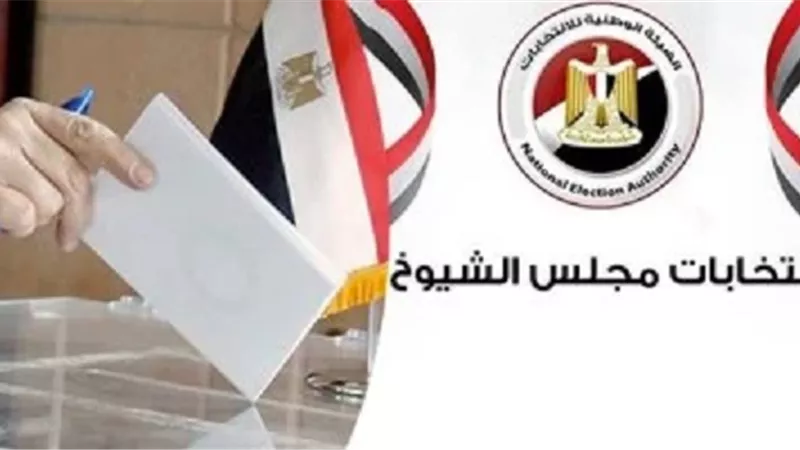 بدء التصويت بسفارات مصر بأمريكا وكندا في الإعادة بانتخابات مجلس الشيوخ