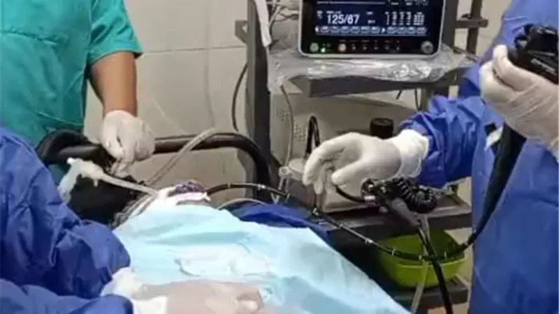 «حميات منوف» تنقذ مرضى الجلطات بطريقة حديثة دون جراحة