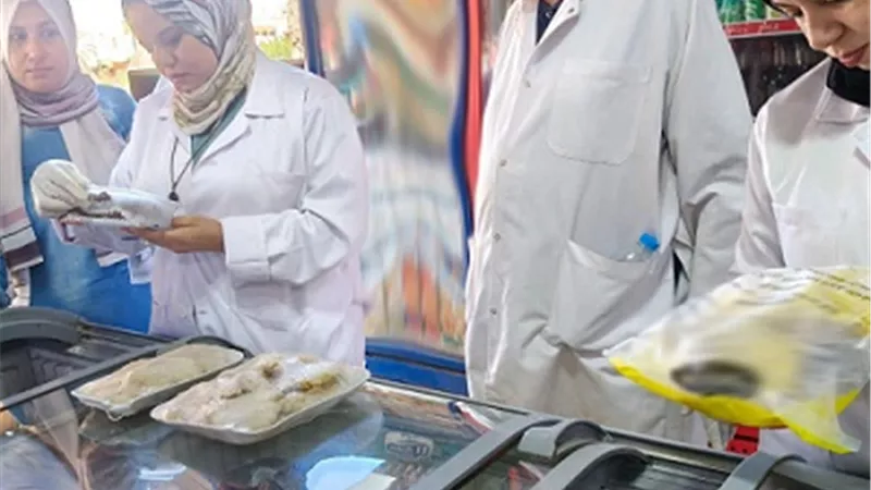 ضبط 8 أطنان و650 لحوم وأسماك منتهية الصلاحية بالشرقية