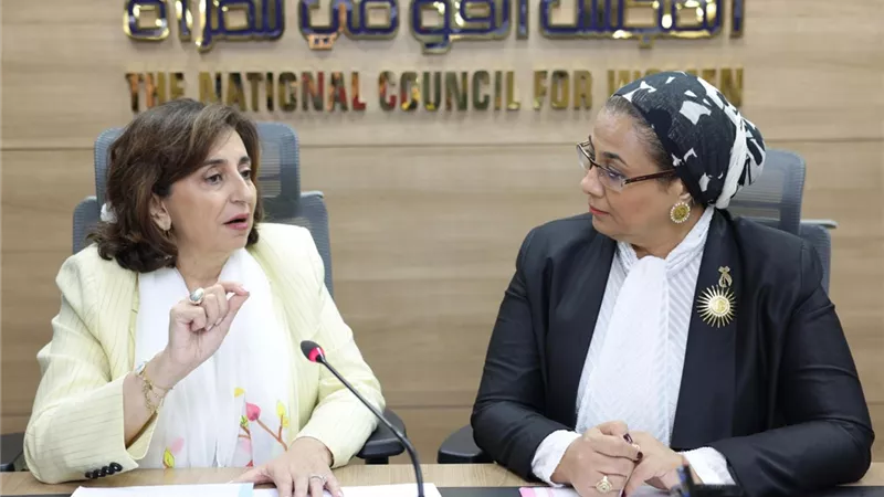 المستشارة أمل عمار والمديرة التنفيذية للأمم المتحدة للمرأة تبحثان التعاون