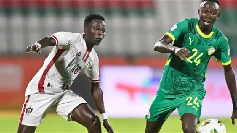 السنغال تهزم السودان وتحسم المركز الثالث في أمم إفريقيا للمحليين