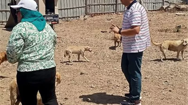 مدن دمياط تنفيذ أعمال إستراتيجية 