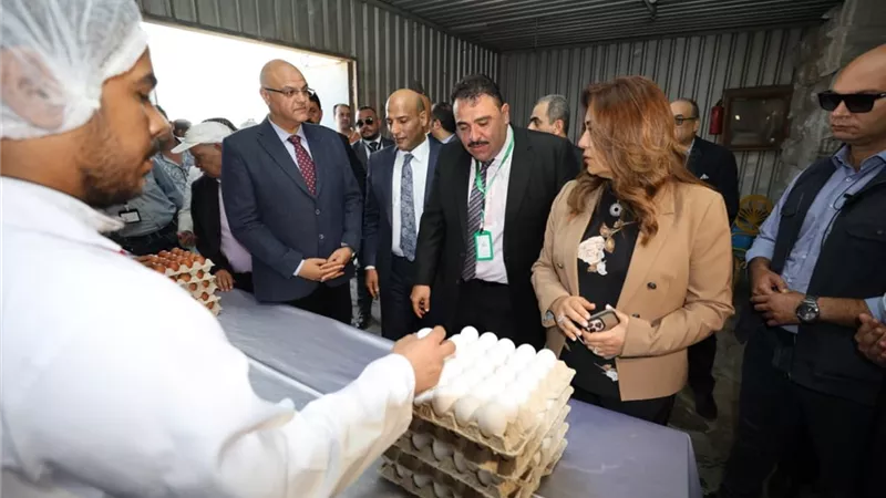وزيرة التنمية المحلية ومحافظ القليوبية يشهدان بدء إنتاج مشروع الـ «30 مليون بيضة» بالخانكة