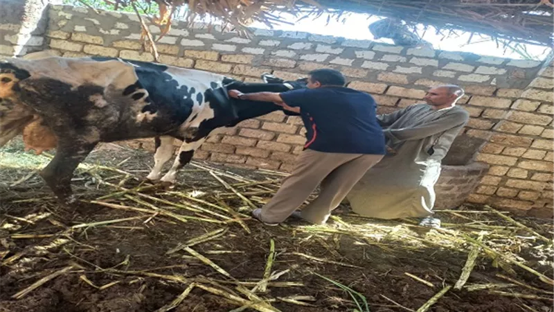 محافظ أسيوط: استمرار فعاليات الحملة القومية للتحصين ضد فيروس SAT
