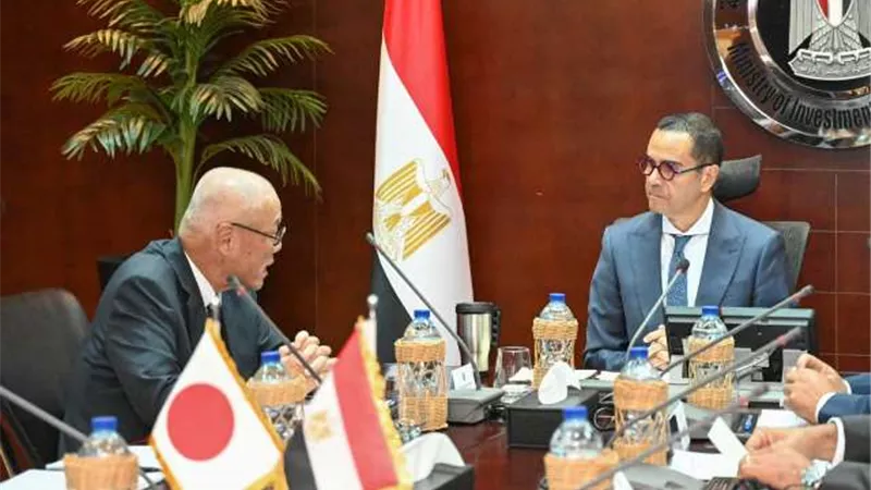 وزير الاستثمار يستقبل السفير الياباني لبحث آفاق التعاون الاقتصادي
